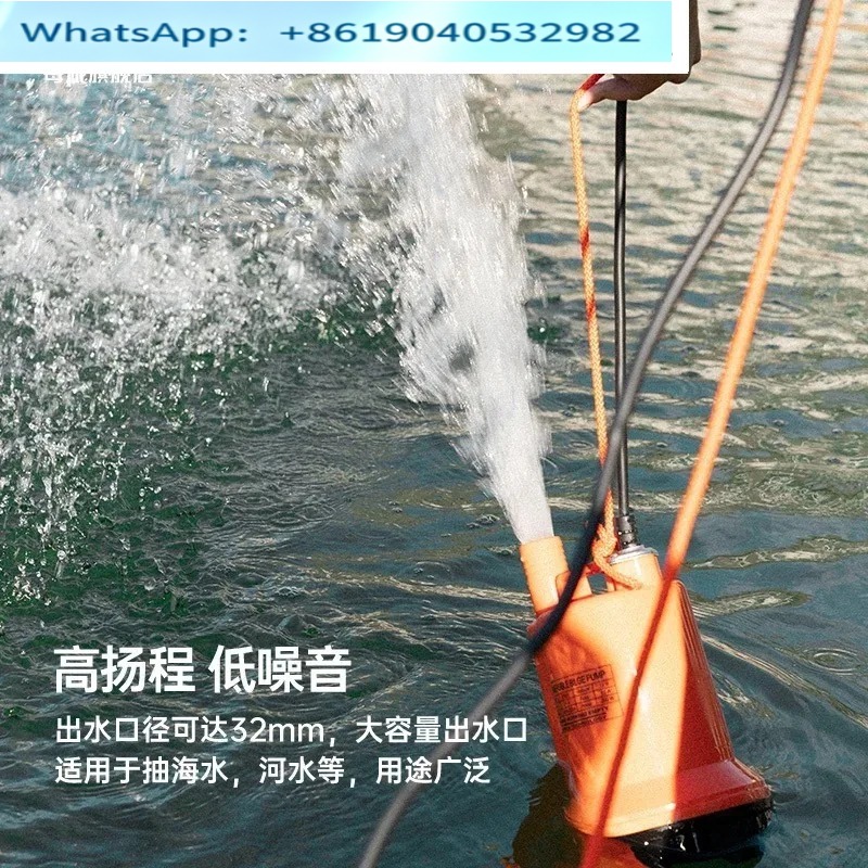 Marine bilge pump 12V24v DC su - Fishing Boat Bilge Pump 评论和价格